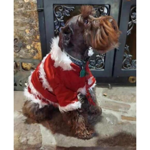 NWT Christmas Red Santa Dog Jacket Size Medium 12"-14" Dogs - Picture 2 of 3